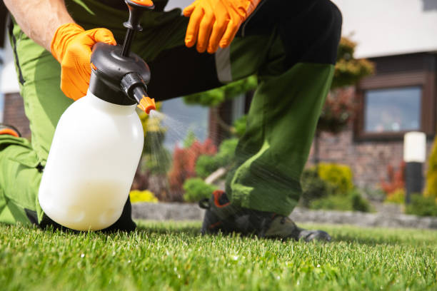 Best Best Pest Control Companies  in Gosnell, AR