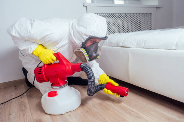 Best Affordable Pest Control Services  in Gosnell, AR