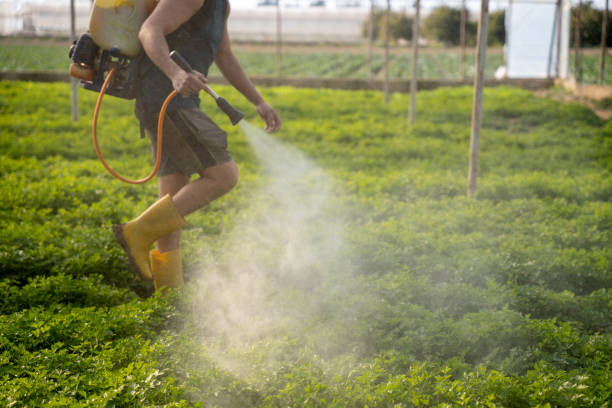Best Best Pest Control Companies  in Gosnell, AR