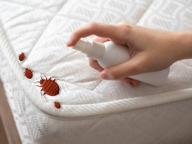 Pest Control for Restaurants in Gosnell, AR