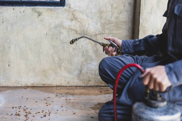 Best Pest Removal Services  in Gosnell, AR
