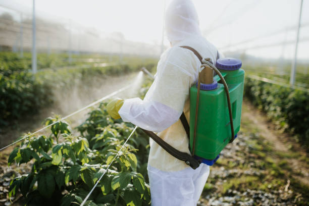 Gosnell, AR Pest Control Company